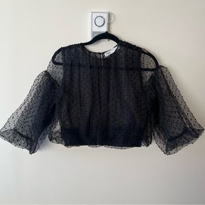 Zara Sheer Black Polka Dot Blouse